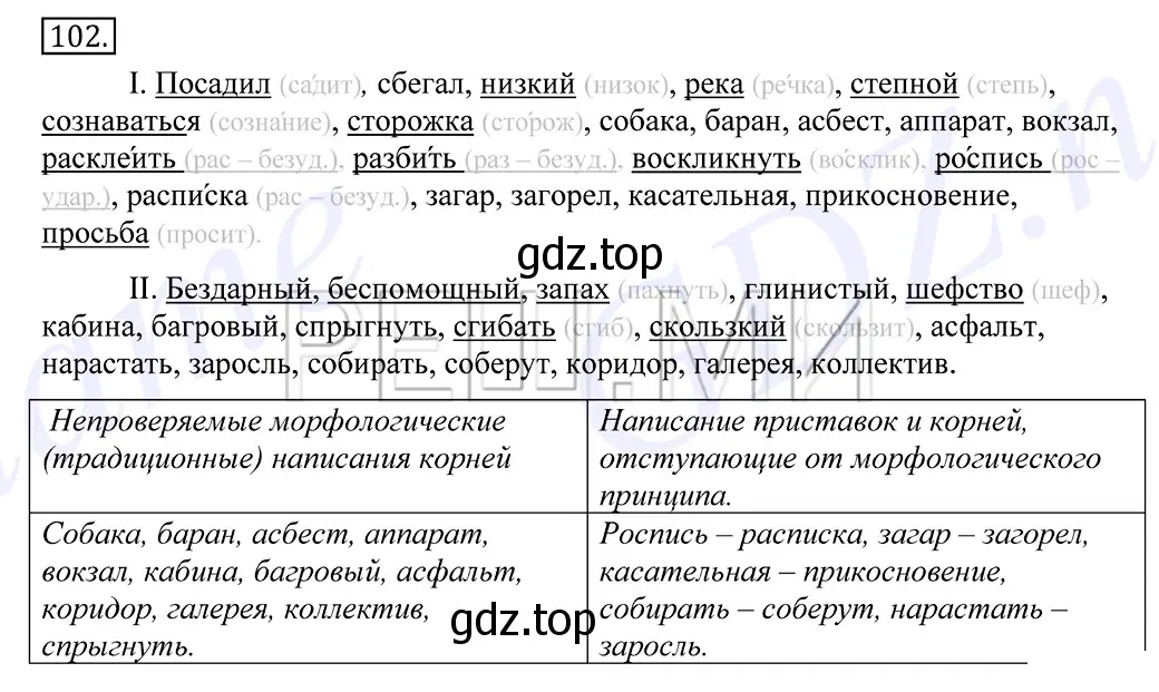 Решение 2. номер 102 (страница 81) гдз по русскому языку 10-11 класс Греков, Крючков, учебник