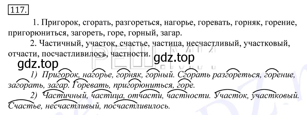 Решение 2. номер 117 (страница 91) гдз по русскому языку 10-11 класс Греков, Крючков, учебник