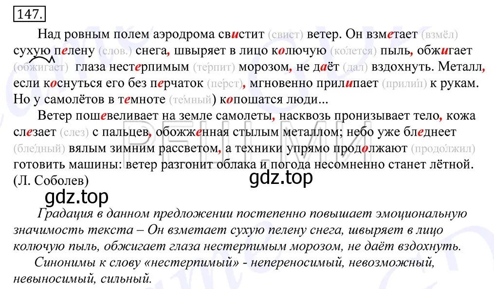 Решение 2. номер 147 (страница 108) гдз по русскому языку 10-11 класс Греков, Крючков, учебник