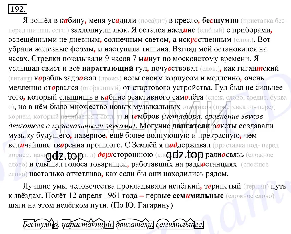 Решение 2. номер 192 (страница 132) гдз по русскому языку 10-11 класс Греков, Крючков, учебник