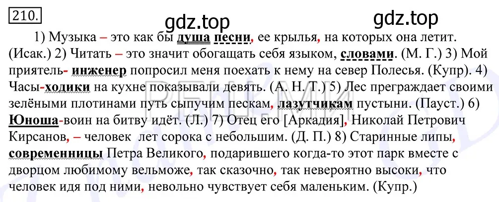 Решение 2. номер 210 (страница 140) гдз по русскому языку 10-11 класс Греков, Крючков, учебник