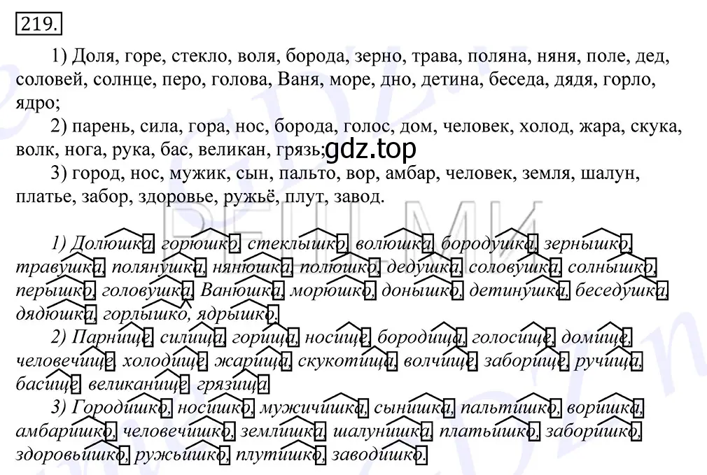 Решение 2. номер 219 (страница 146) гдз по русскому языку 10-11 класс Греков, Крючков, учебник