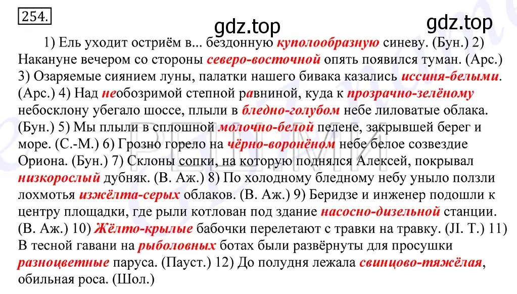 Решение 2. номер 254 (страница 166) гдз по русскому языку 10-11 класс Греков, Крючков, учебник