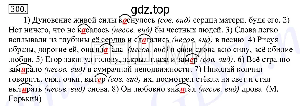 Решение 2. номер 300 (страница 190) гдз по русскому языку 10-11 класс Греков, Крючков, учебник