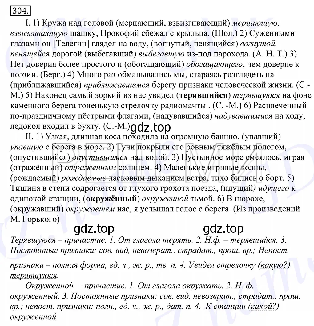 Решение 2. номер 304 (страница 193) гдз по русскому языку 10-11 класс Греков, Крючков, учебник