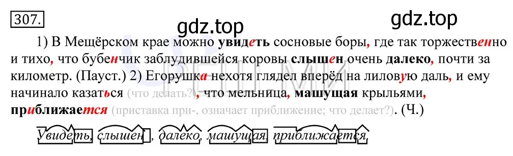 Решение 2. номер 307 (страница 195) гдз по русскому языку 10-11 класс Греков, Крючков, учебник