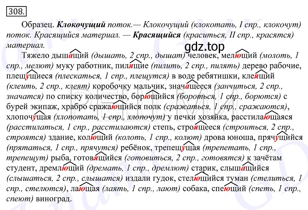 Решение 2. номер 308 (страница 196) гдз по русскому языку 10-11 класс Греков, Крючков, учебник