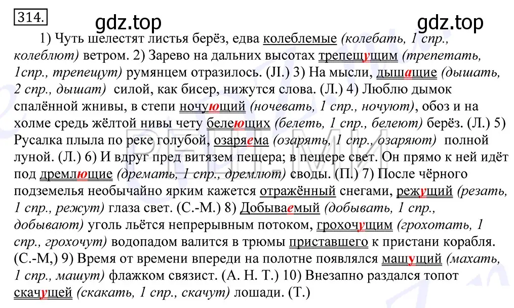 Решение 2. номер 314 (страница 198) гдз по русскому языку 10-11 класс Греков, Крючков, учебник