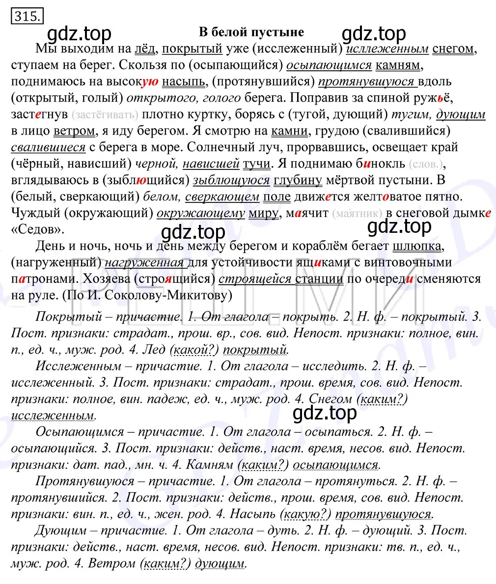 Решение 2. номер 315 (страница 198) гдз по русскому языку 10-11 класс Греков, Крючков, учебник