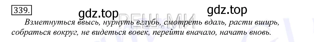 Решение 2. номер 339 (страница 216) гдз по русскому языку 10-11 класс Греков, Крючков, учебник