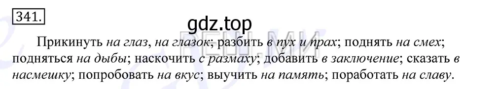 Решение 2. номер 341 (страница 216) гдз по русскому языку 10-11 класс Греков, Крючков, учебник