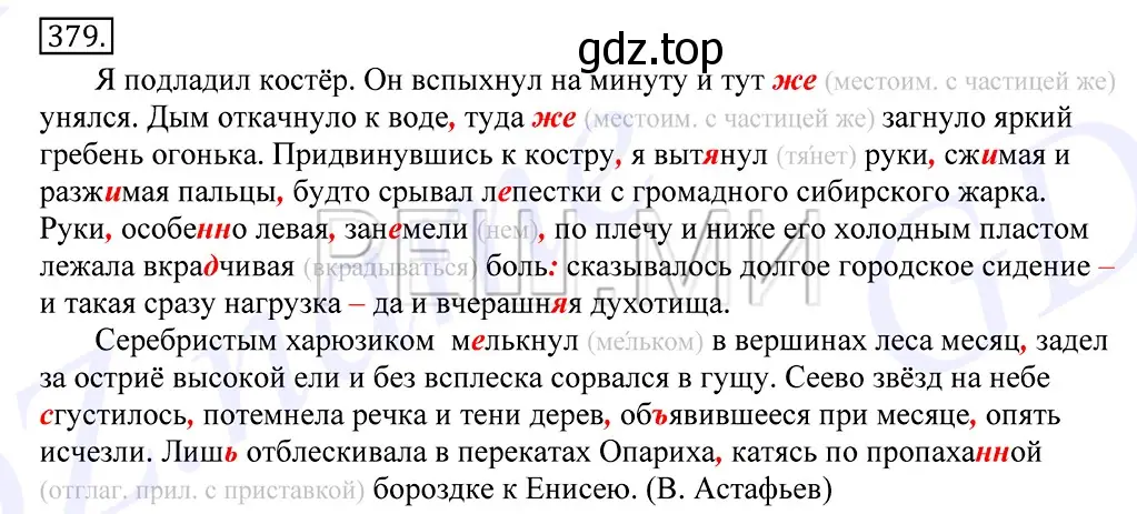 Решение 2. номер 379 (страница 247) гдз по русскому языку 10-11 класс Греков, Крючков, учебник