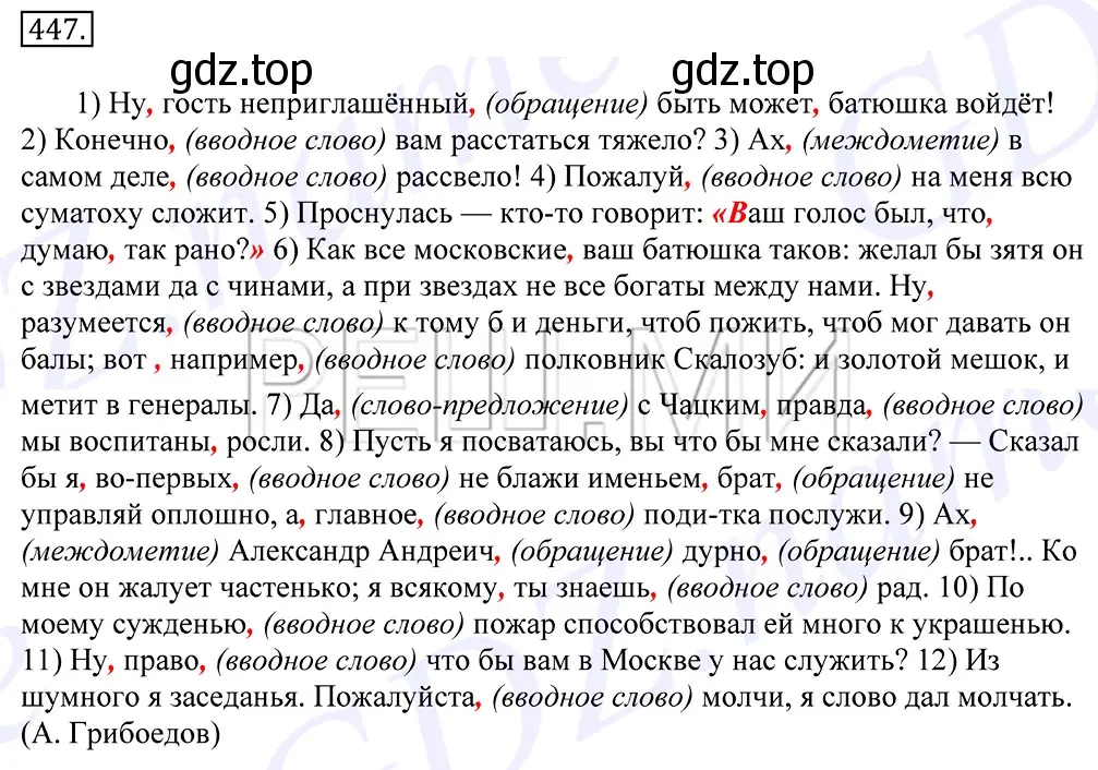 Решение 2. номер 447 (страница 304) гдз по русскому языку 10-11 класс Греков, Крючков, учебник