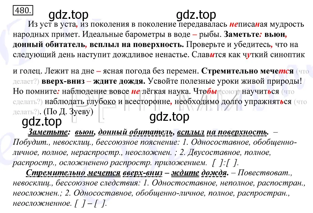 Решение 2. номер 480 (страница 329) гдз по русскому языку 10-11 класс Греков, Крючков, учебник