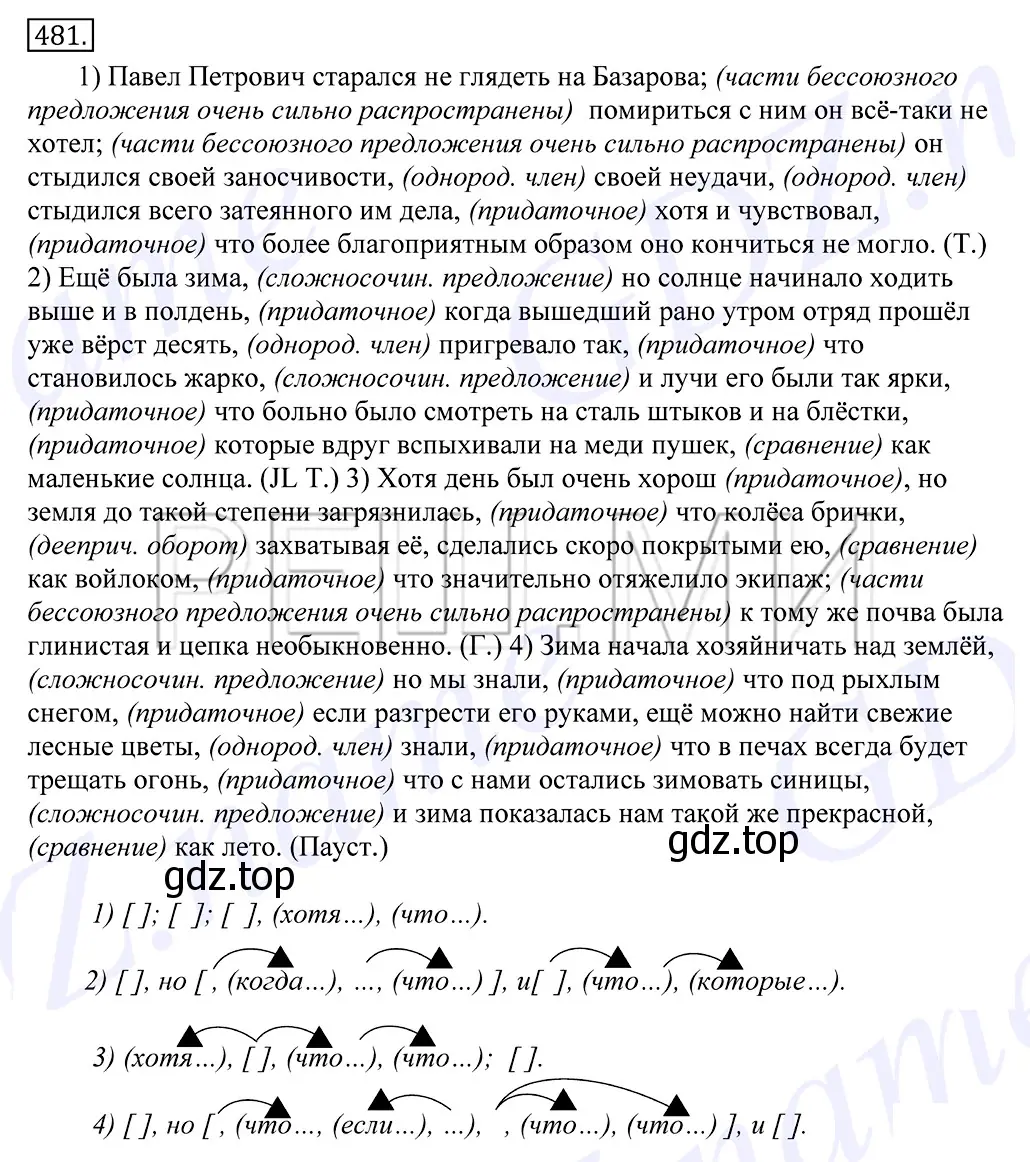 Решение 2. номер 481 (страница 331) гдз по русскому языку 10-11 класс Греков, Крючков, учебник