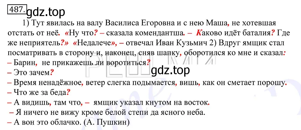 Решение 2. номер 487 (страница 337) гдз по русскому языку 10-11 класс Греков, Крючков, учебник