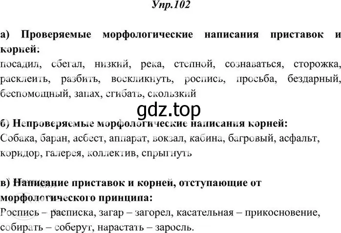 Решение 3. номер 102 (страница 81) гдз по русскому языку 10-11 класс Греков, Крючков, учебник