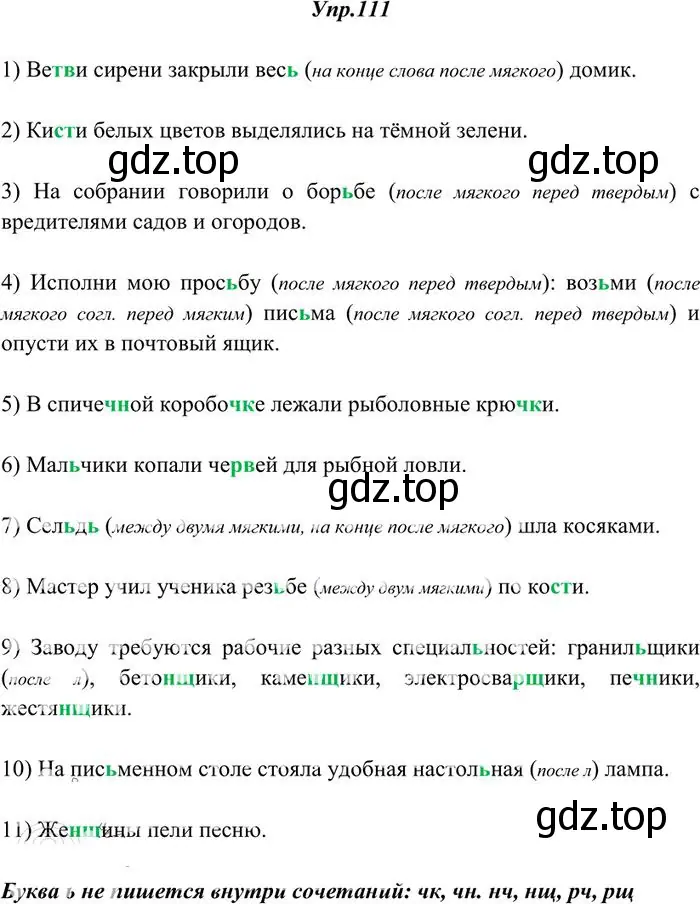 Решение 3. номер 111 (страница 86) гдз по русскому языку 10-11 класс Греков, Крючков, учебник