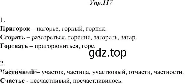 Решение 3. номер 117 (страница 91) гдз по русскому языку 10-11 класс Греков, Крючков, учебник