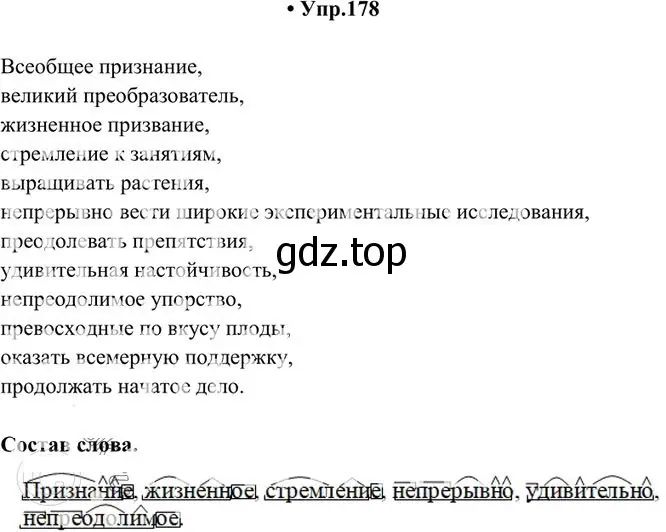 Решение 3. номер 178 (страница 123) гдз по русскому языку 10-11 класс Греков, Крючков, учебник