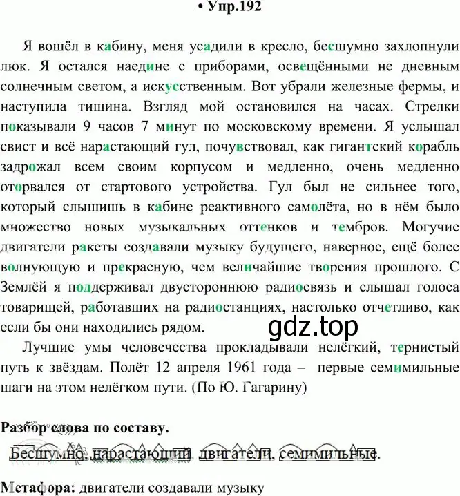 Решение 3. номер 192 (страница 132) гдз по русскому языку 10-11 класс Греков, Крючков, учебник