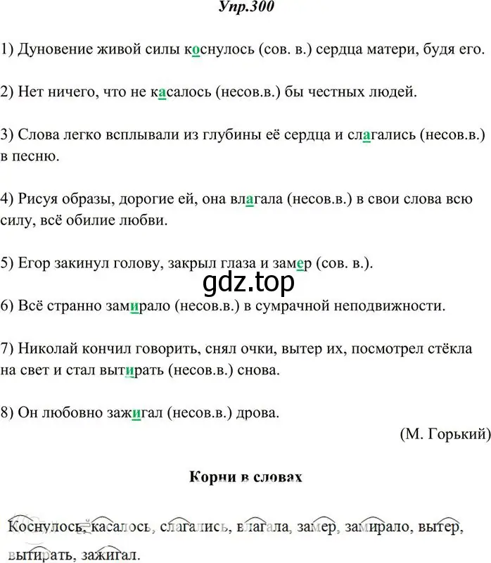 Решение 3. номер 300 (страница 190) гдз по русскому языку 10-11 класс Греков, Крючков, учебник