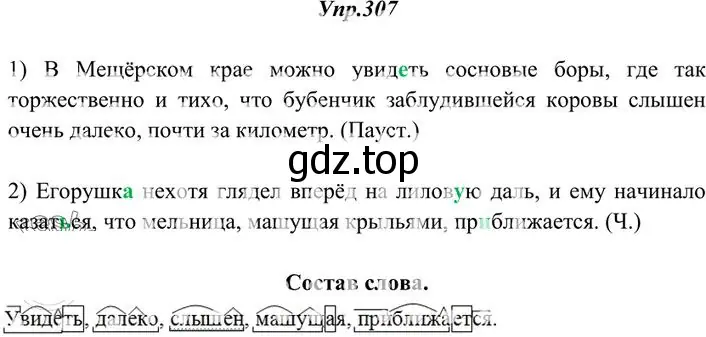 Решение 3. номер 307 (страница 195) гдз по русскому языку 10-11 класс Греков, Крючков, учебник