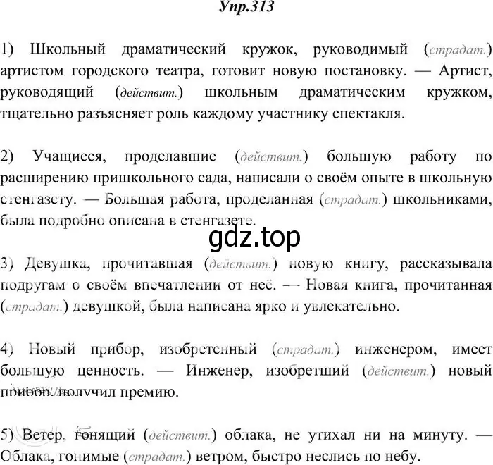 Решение 3. номер 313 (страница 197) гдз по русскому языку 10-11 класс Греков, Крючков, учебник