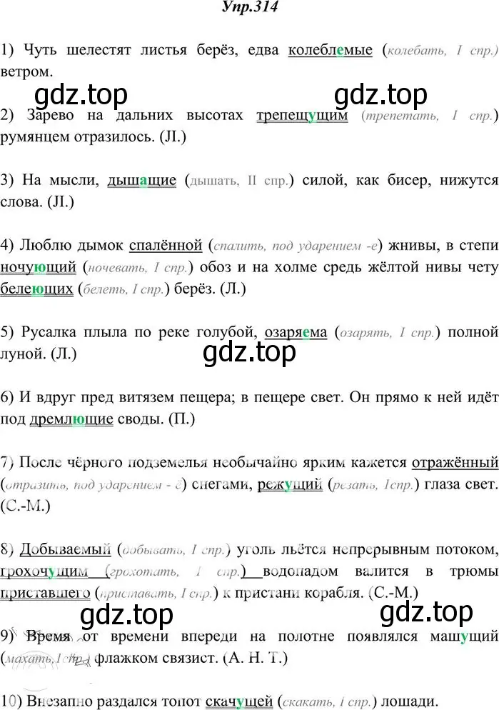 Решение 3. номер 314 (страница 198) гдз по русскому языку 10-11 класс Греков, Крючков, учебник