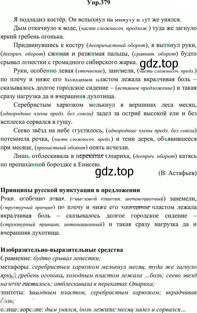 Решение 3. номер 379 (страница 247) гдз по русскому языку 10-11 класс Греков, Крючков, учебник