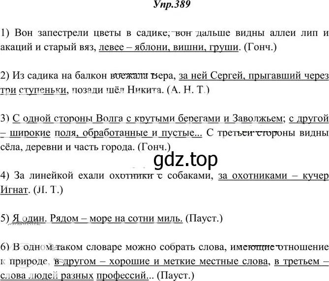 Решение 3. номер 389 (страница 252) гдз по русскому языку 10-11 класс Греков, Крючков, учебник