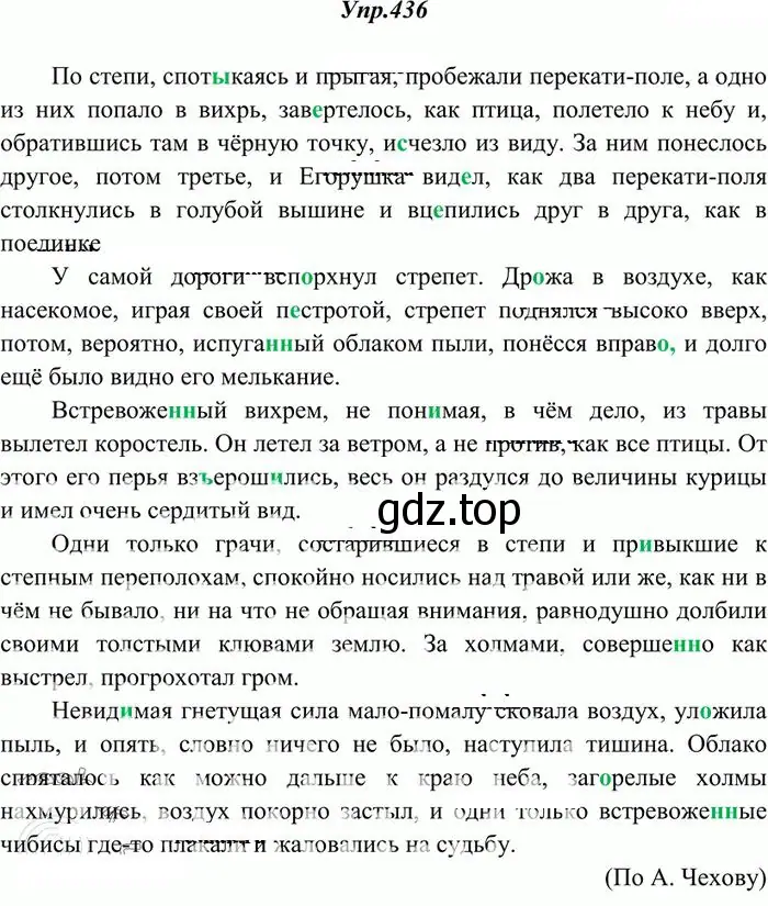 Решение 3. номер 436 (страница 294) гдз по русскому языку 10-11 класс Греков, Крючков, учебник