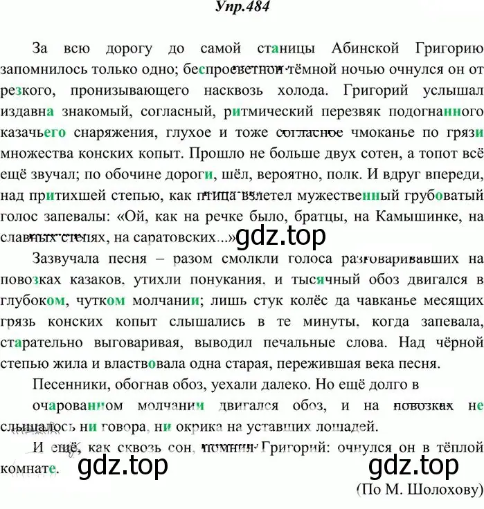 Решение 3. номер 484 (страница 332) гдз по русскому языку 10-11 класс Греков, Крючков, учебник