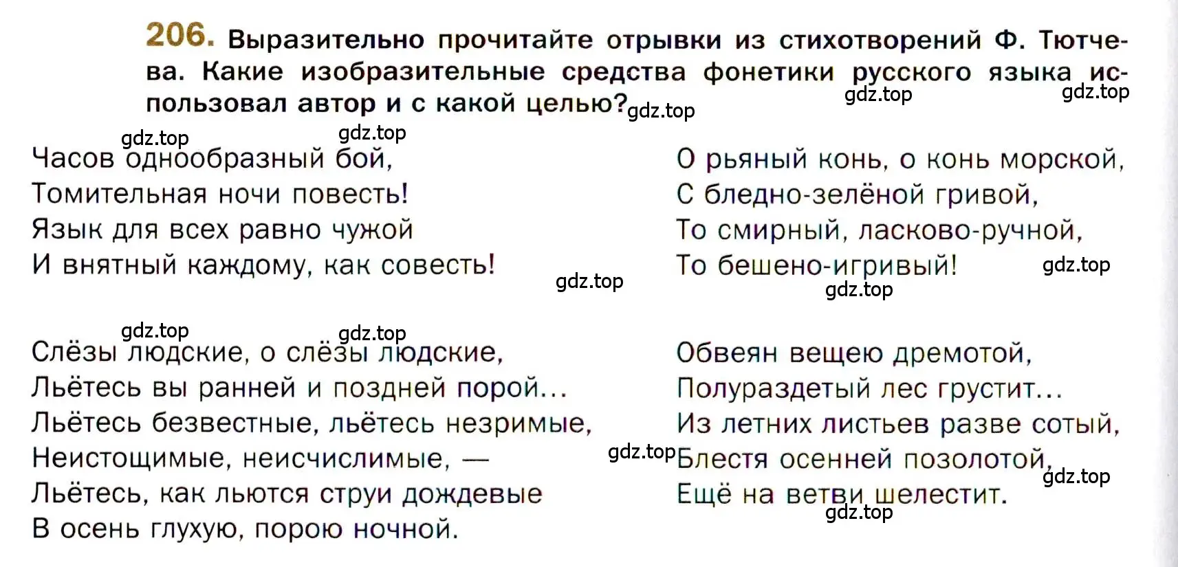 Условие номер 206 (страница 318) гдз по русскому языку 10 класс Гусарова, учебник