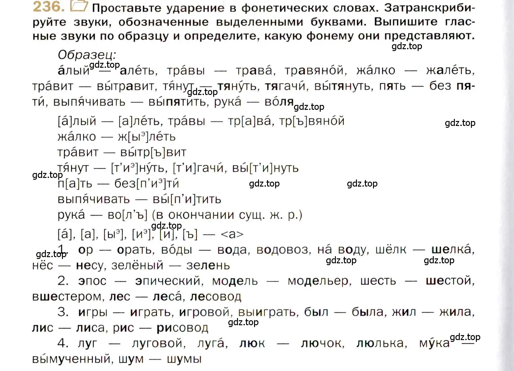 Условие номер 236 (страница 336) гдз по русскому языку 10 класс Гусарова, учебник