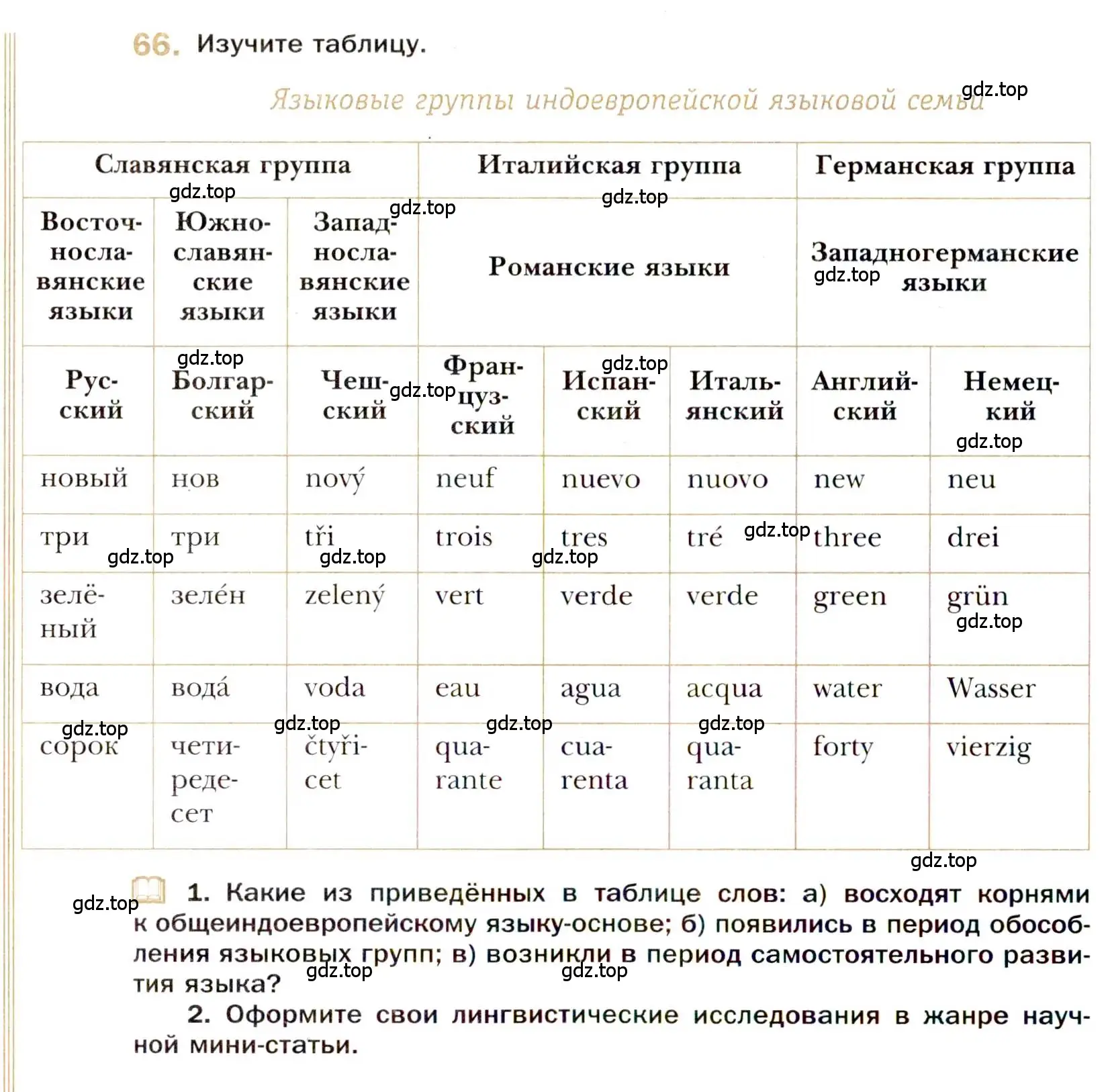 Условие номер 66 (страница 96) гдз по русскому языку 10 класс Гусарова, учебник