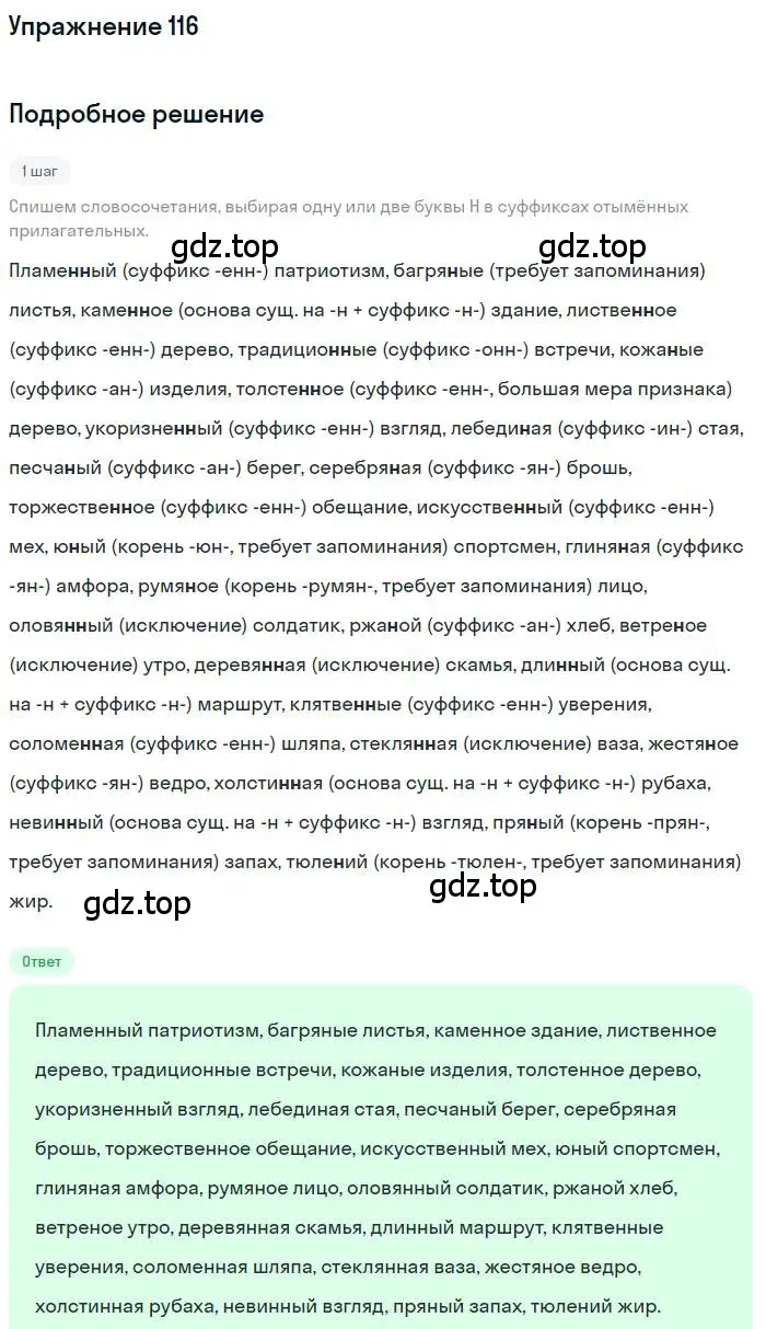 Решение номер 116 (страница 197) гдз по русскому языку 10 класс Гусарова, учебник