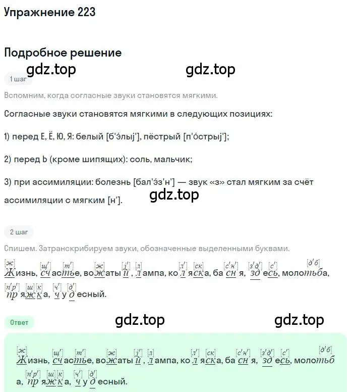 Решение номер 223 (страница 327) гдз по русскому языку 10 класс Гусарова, учебник