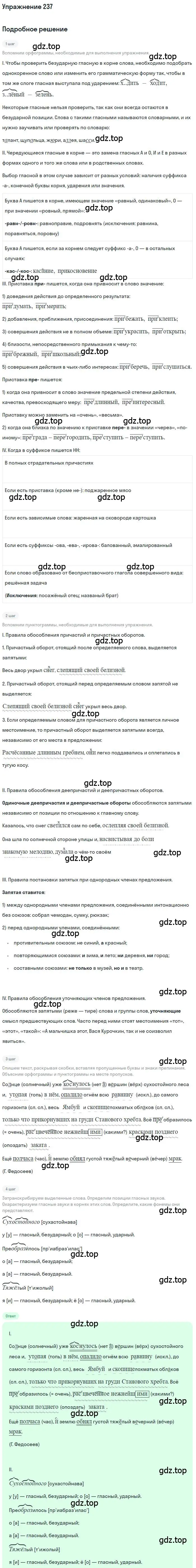 Решение номер 237 (страница 336) гдз по русскому языку 10 класс Гусарова, учебник