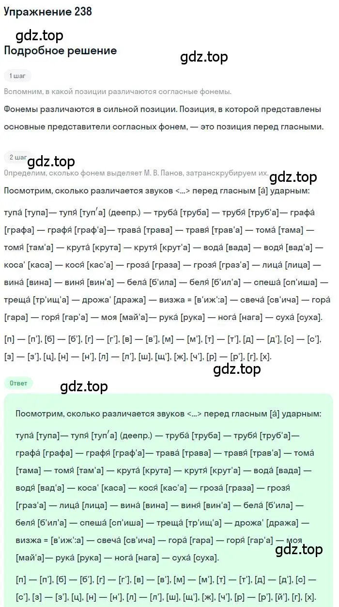 Решение номер 238 (страница 336) гдз по русскому языку 10 класс Гусарова, учебник