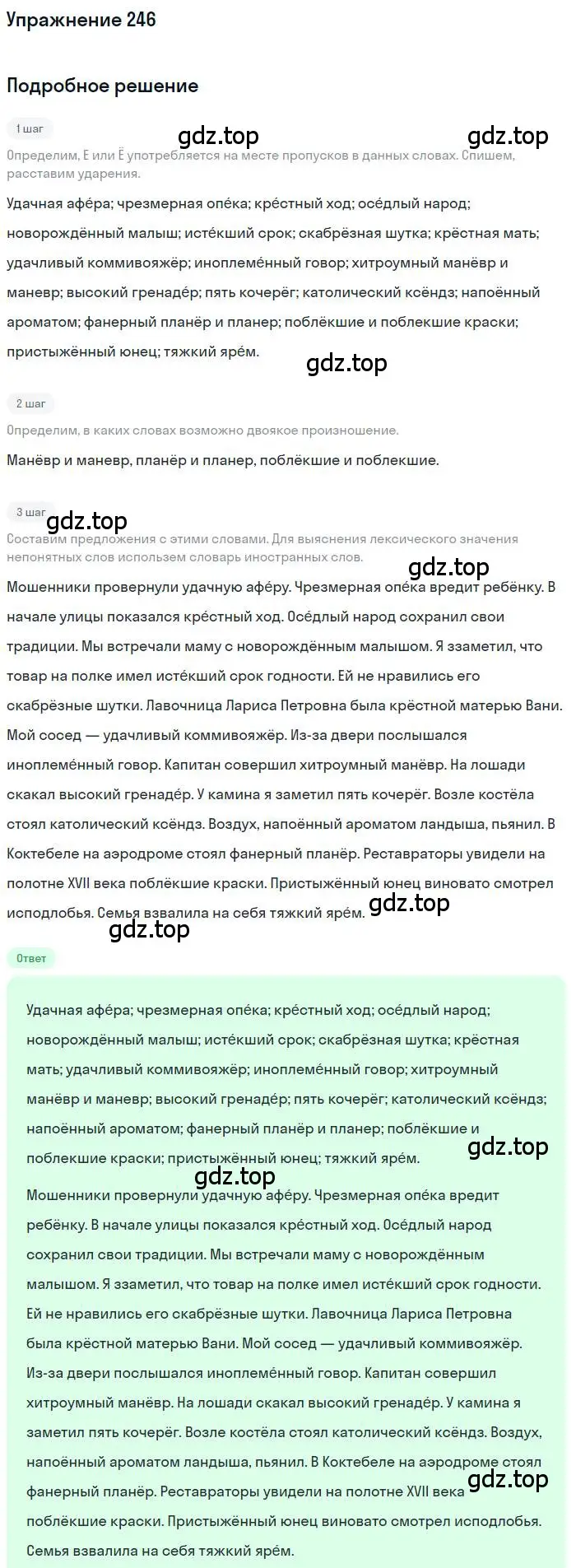 Решение номер 246 (страница 344) гдз по русскому языку 10 класс Гусарова, учебник