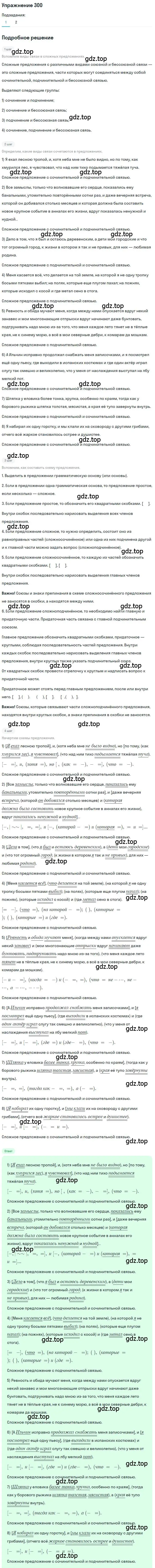Решение номер 300 (страница 430) гдз по русскому языку 10 класс Гусарова, учебник