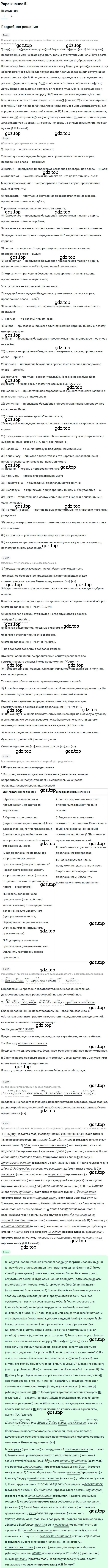 Решение номер 91 (страница 142) гдз по русскому языку 10 класс Гусарова, учебник