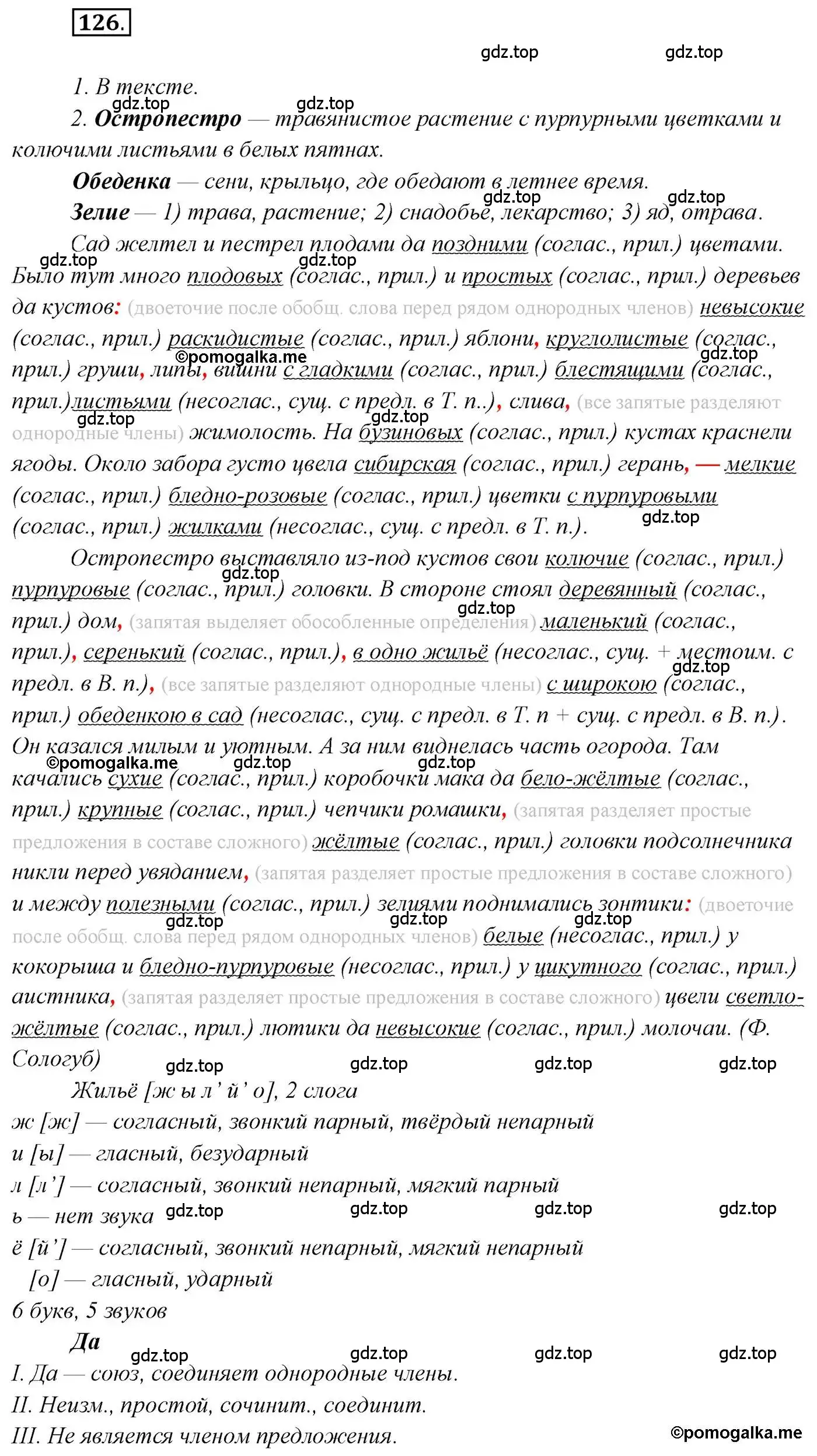 Решение 2. номер 126 (страница 209) гдз по русскому языку 10 класс Гусарова, учебник