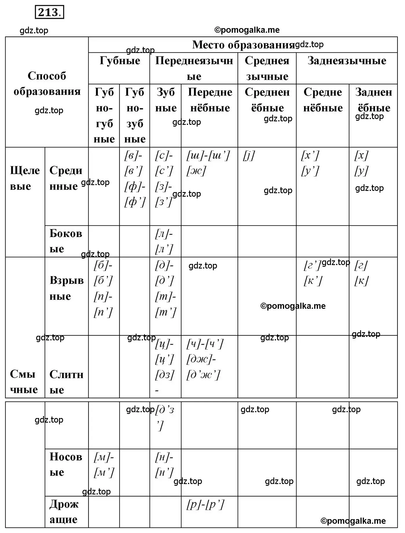 Решение 2. номер 213 (страница 323) гдз по русскому языку 10 класс Гусарова, учебник