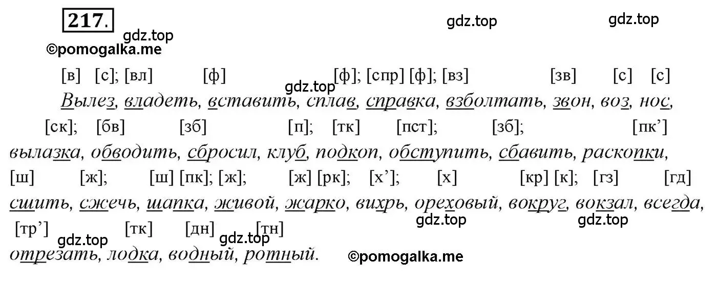 Решение 2. номер 217 (страница 325) гдз по русскому языку 10 класс Гусарова, учебник