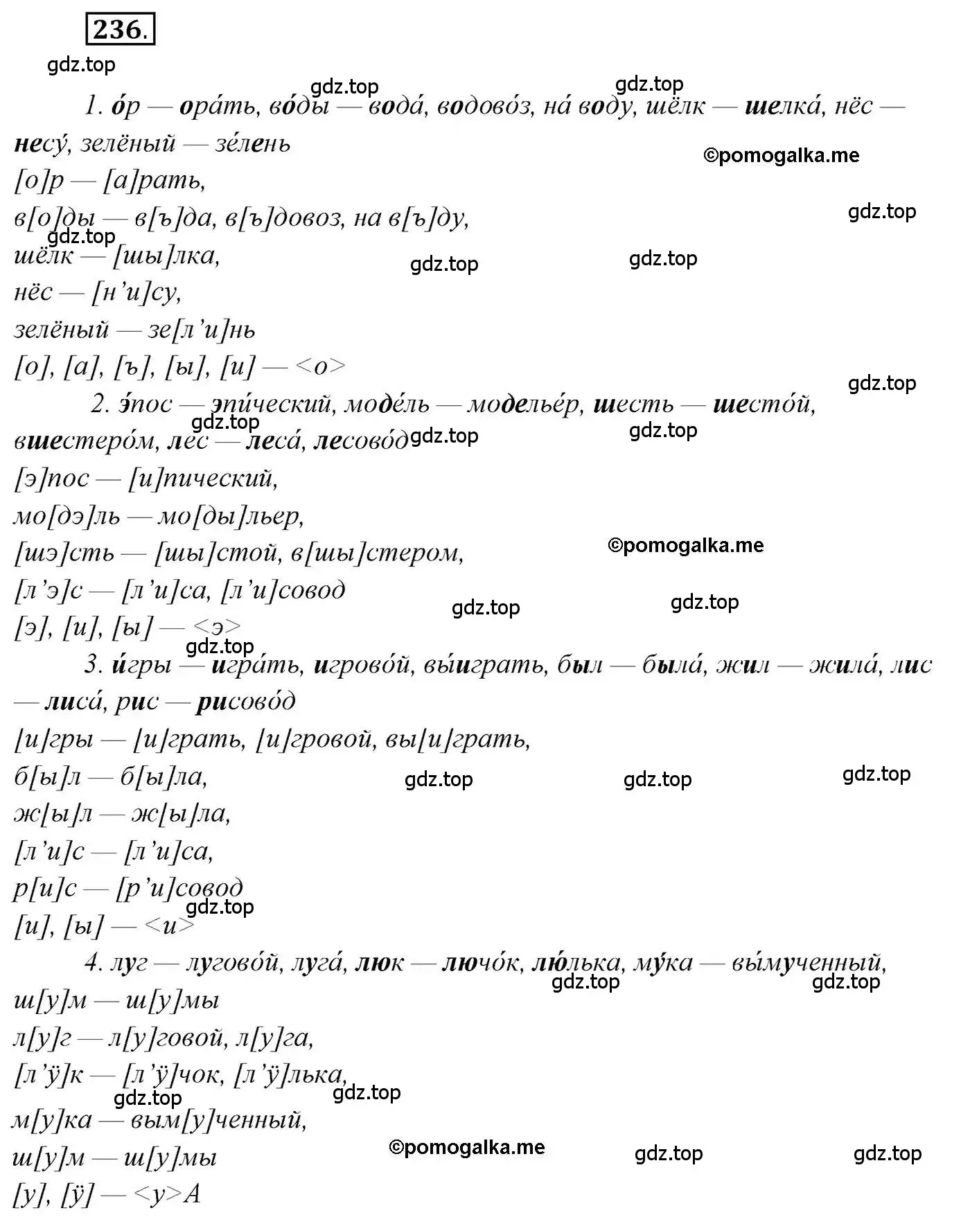 Решение 2. номер 236 (страница 336) гдз по русскому языку 10 класс Гусарова, учебник