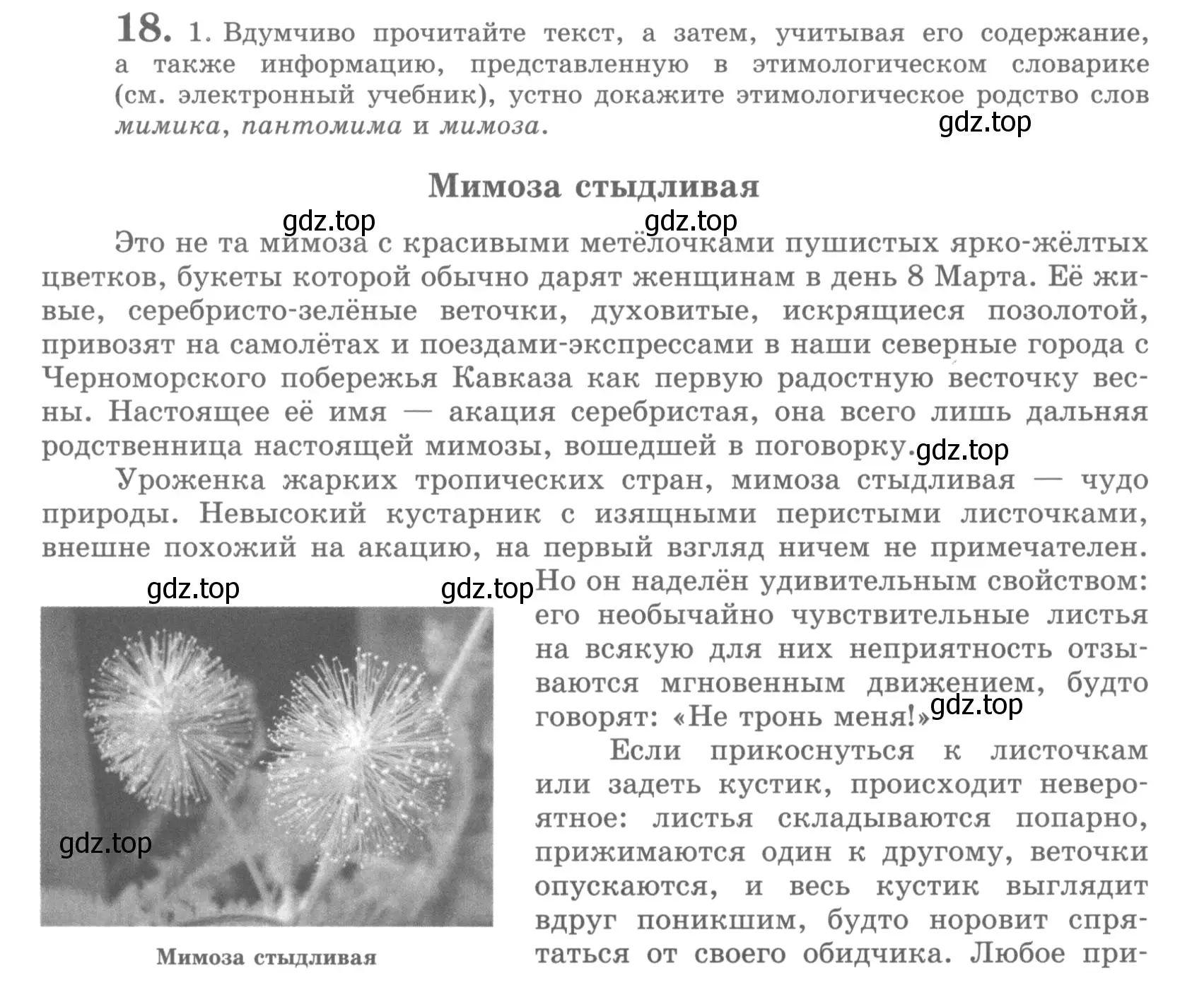 Условие номер 18 (страница 24) гдз по русскому языку 10 класс Львова, Львов, учебник