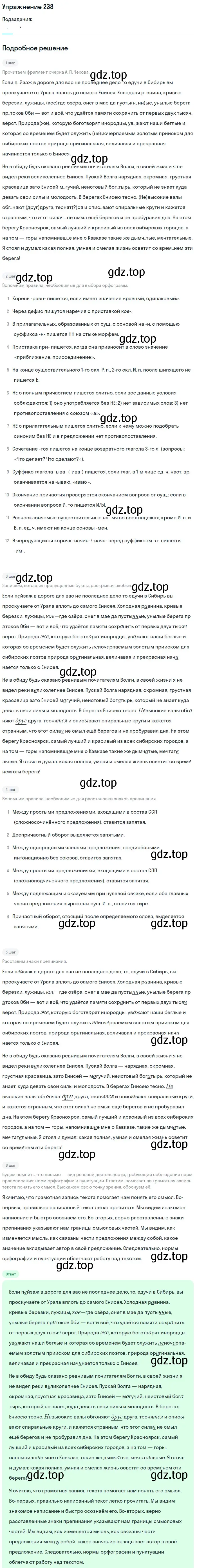 Решение номер 238 (страница 117) гдз по русскому языку 10-11 класс Рыбченкова, Александрова, учебник