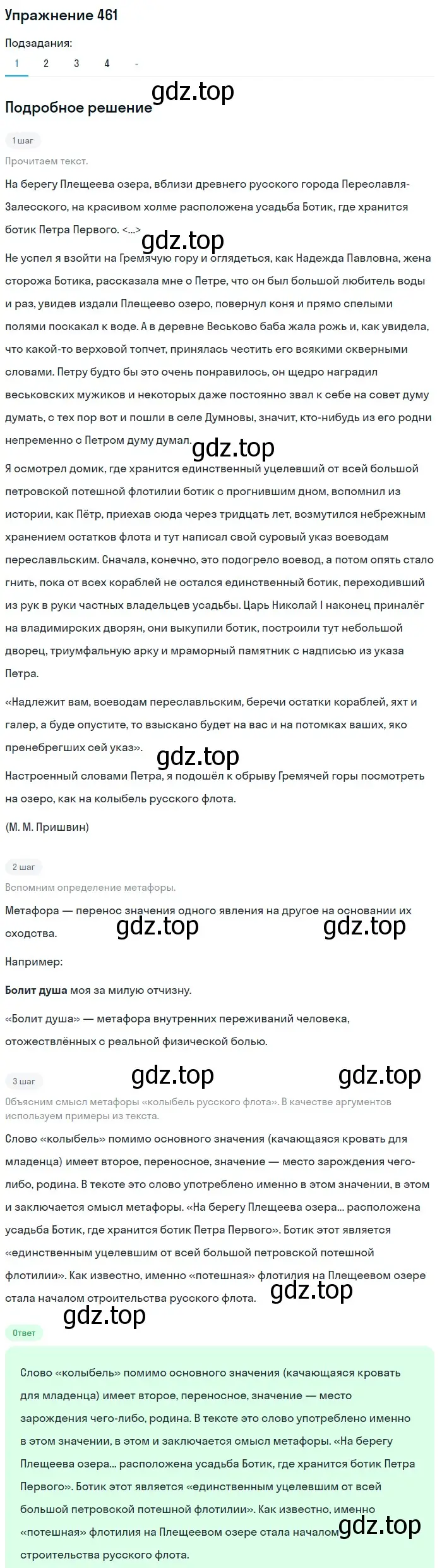 Решение номер 461 (страница 231) гдз по русскому языку 10-11 класс Рыбченкова, Александрова, учебник